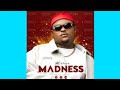 Bmixx  madness mixtape 2k23