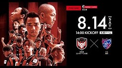 Consadole Tv Youtube