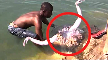 男子在以色列海岸發現真實美人魚！結果這美人魚的怪異行動讓人驚呆了