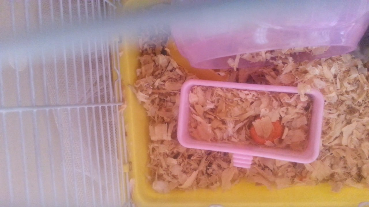 Черчель - YouTube