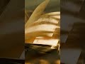Fairy Tale Book Opening Disney Movie Style 
