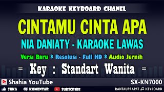 CINTAMU CINTA APA NIA DANIATY KARAOKE LAWAS
