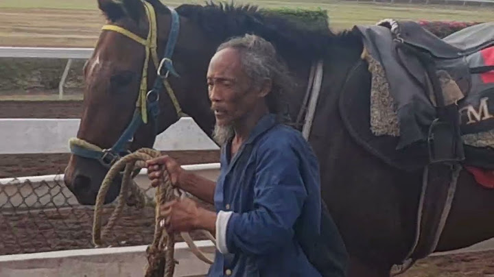 IF LOOKS WIN RACES LOOK RIGHT HERE CAYMANAS PARK EXERCISE TRACK