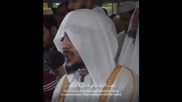 تلاوة هادئة ومميزة  - وخشعت الأصوات للرحمن فلا تسمع الا همسا - #اجر سورة طه