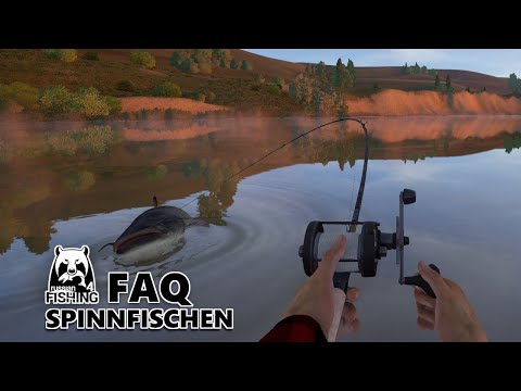 Russian Fishing 4 Simulator #RF4Guide - FAQ Spinnfischen
