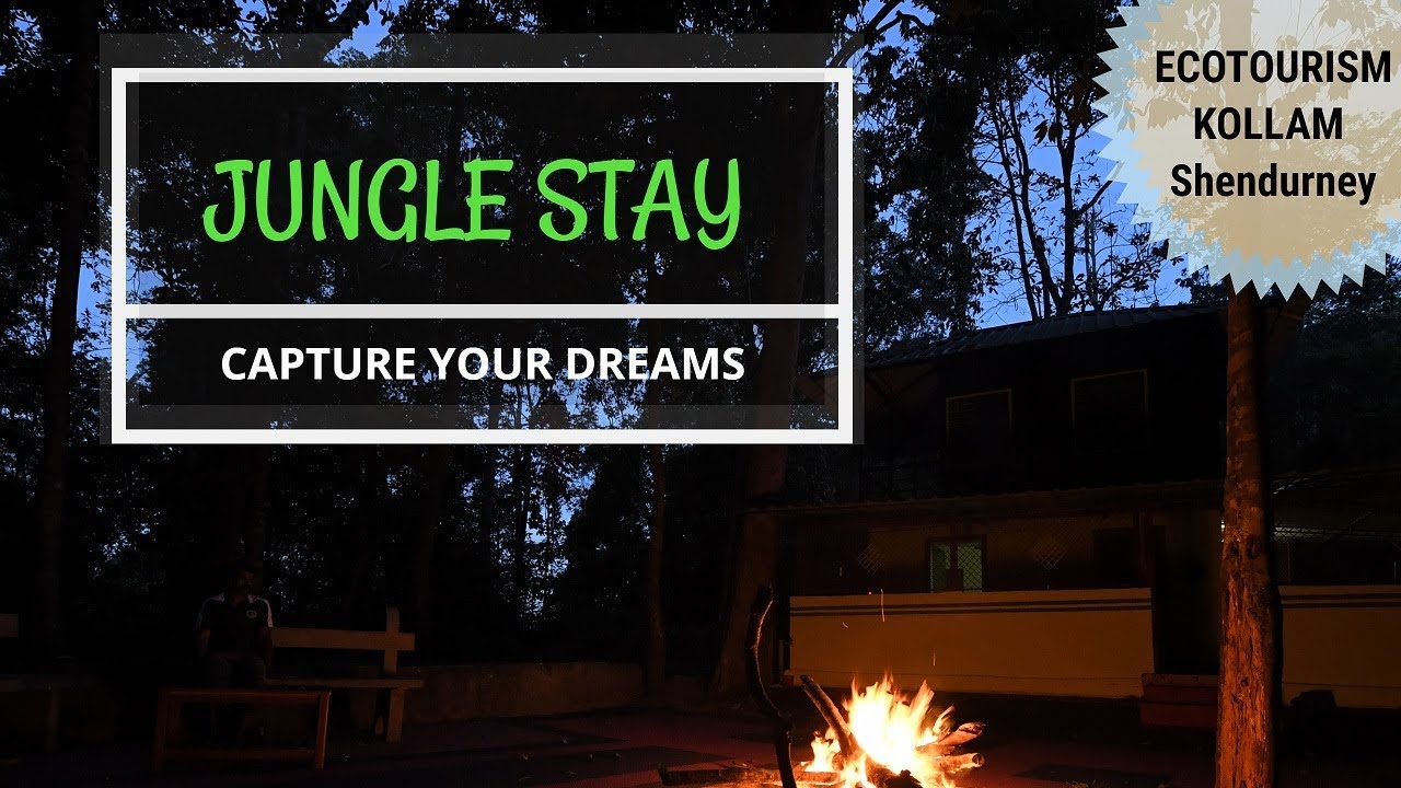 eco tourism management Jungle Stay - Shendurney Camping Package | Kollam Ecotourism