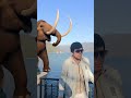 SQUALO vs MAMMUT: Il Lago di Como non è più lo stesso! 😱🦈🦣