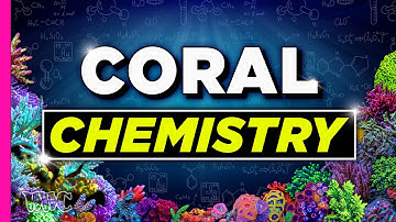 Understanding Your Tank! Breaking Down The Chemistry!