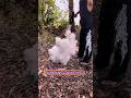 Electric toilet plunger pump high pressure air