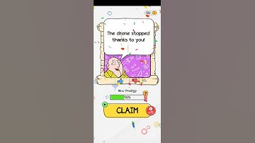Braindom level 122 Can you stop the drone Walkthrough Solution
