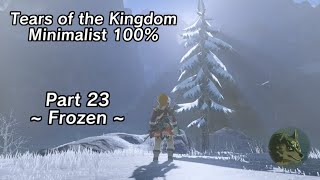 Tears of the Kingdom Minimalist 100% Part 23 - Frozen by Wolf Link 2,177 views 1 month ago 11 minutes, 12 seconds