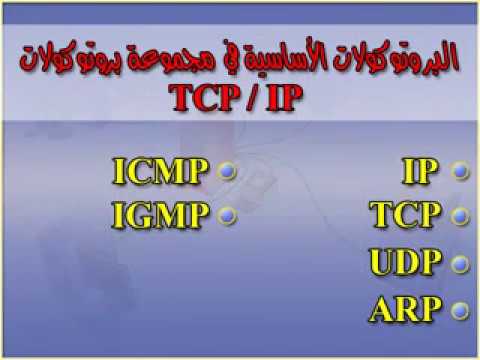 دورة شبكات الدرس الثامن مجموعة بروتوكولات     