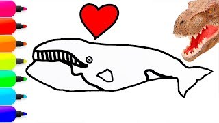 How to Coloring 8 Whales and Dolphin | Narwhal, Blue Whale, Beluga Whale, Humpback Whale, Bowhead
