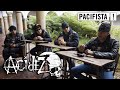 Acidez- Reportaje por ¡Pacifista! en Bogota Rock al parque 2019