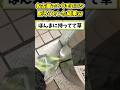 【2ch面白いスレ】実家からトウモロコシ届いた！名古屋で配ったろ！→結果www