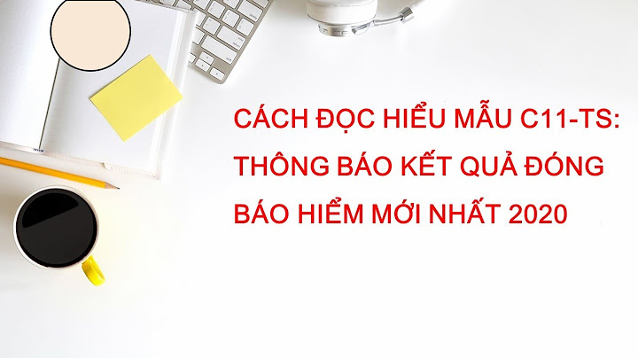 Mục phân bổ tiền đóng trong mẫu c11-ts là gì năm 2024