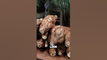 Kudzu: invasive processed into edible