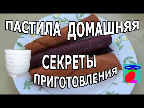 Домашняя пастила. Пастила в сушилке.