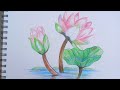 Lotus flower in pencil Colour/Kamal ka phool