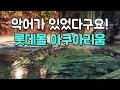 [헬로우민아가 간다] 롯데월드몰 아쿠아리움 수족관에 갔어요! 악어랑 피라냐 봤어요  신기해요