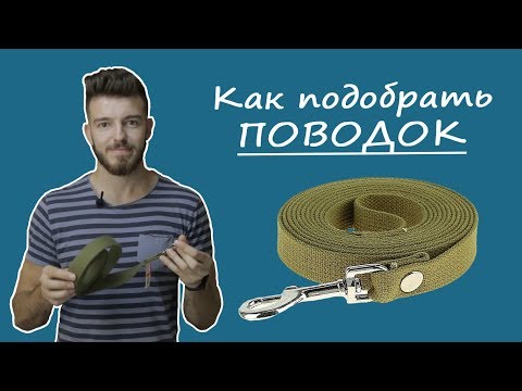 Как выбрать поводок для собаки?  Брезентовый поводок