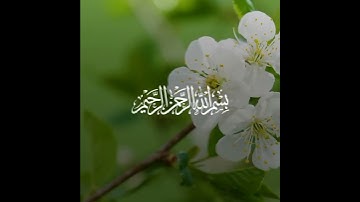 سورة الكوثر (كاملة) بصوت القارئ مشاري_العفاسي | حالات واتس | Surat Al-Kawthar