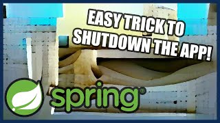 How to programatically shutdown / close a Spring Boot app screenshot 3