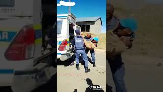 most funny video clip|🤣🤣🤣🤣🤣🤣🤣SA police#