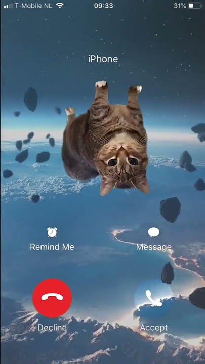 OiaCat New Ringtone 😽 #cat #music #meme #oiacat #fyp  #android #apple #viral #cute
