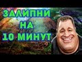 Залипательное видео. Включи и наслаждайся!