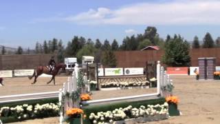 Carly Bechtel Wins Eqs Open Equitation Classic At The Giant Steps Charity Classic