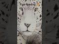 Tiger sketch  #music #remix #phonk #art #tiger 🐯🐯🐯💥💥💥✨✨🐅😱😱😱