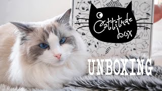 Cattitude Box Unboxing MAY 2021 | Ragdolls Pixie and Bluebell by Pixie and Bluebell 1,600 views 2 years ago 13 minutes, 30 seconds