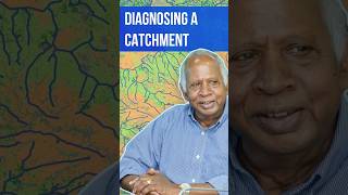 How can hydrologists diagnose a catchment? #waterdata #podcast #hydrology