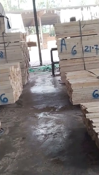 kayu getah siap di racip