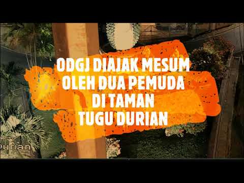 OMG‼ Dua Pemuda Intimi ODGJ di Taman Tugu Durian || Radarlampung.co.id