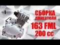 СБОРКА ДВИГАТЕЛЯ 163 FML ( Viper F5 ) | 200 сс |  163fm l 164fml | 165fml | 156FMI | 162FMJ