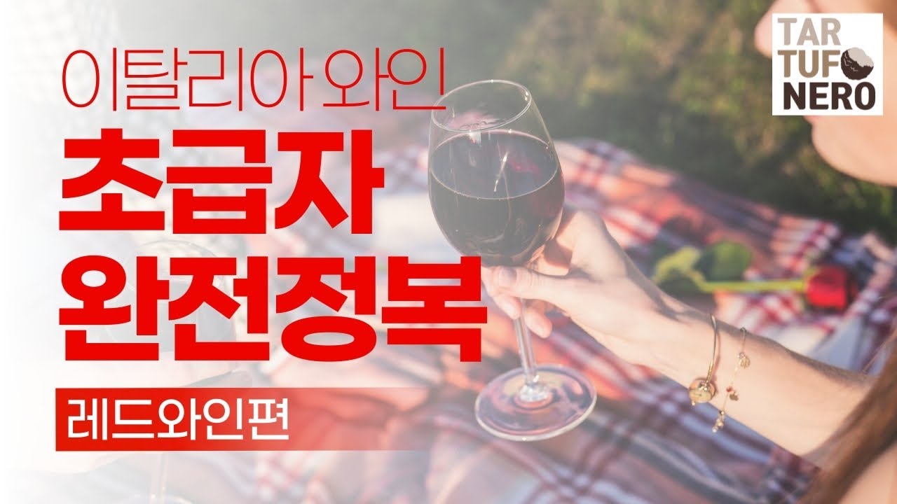 이탈리아 와인 초보자 완전정복 - 영상 한 편으로 끝내는 레드 와인편