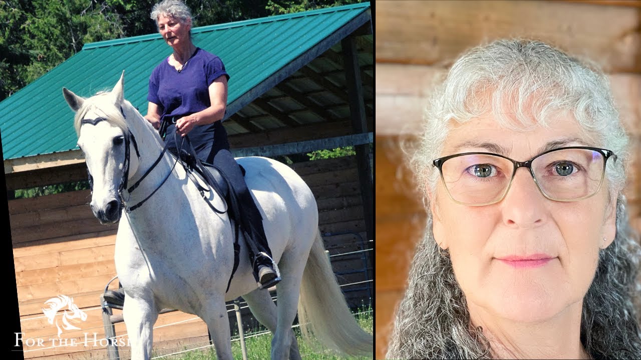 Equestrian responsibility:  horse rider responsibility explained