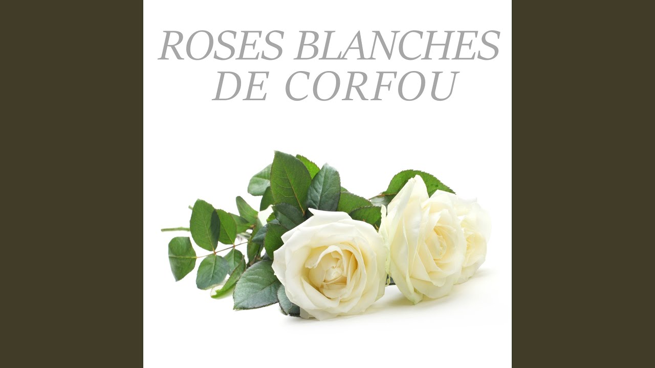 Roses blanches de Corfou YouTube