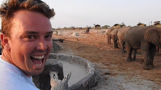 African Safari 2015 African Safari 2015