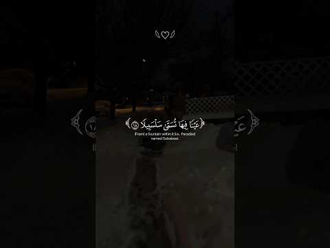 عينا فيها تسمى سلسبيلا محمد الحيدان