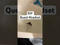 RIP Meta Quest.. 😭☠️ #animalcompany #gorillatag #gtag #animalcompanyvr