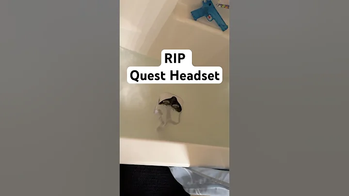 RIP Meta Quest.. 😭☠️ #animalcompany #gorillatag #gtag #animalcompanyvr