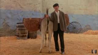 3 Guys Put Kid In Donkeys ..