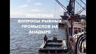 Некоторые вопросы рыбных промыслов на Анадыре