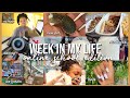 a PRODUCTIVE online school week in my life | new pet, shopping, editing &amp; more!