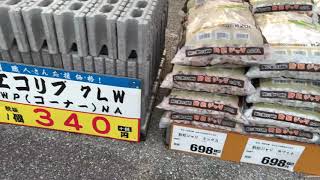 ［DIY］違うのか？コーナンPROとロイヤルホームセンターでコンクリート板の価格調査行っただけの動画