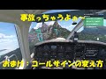 [MSFS2024]遊覧飛行でトラブル発生！＆コールサインの変え方
