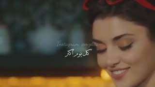 راغب علامه بحبك كل يوم اكتر ❤🎶